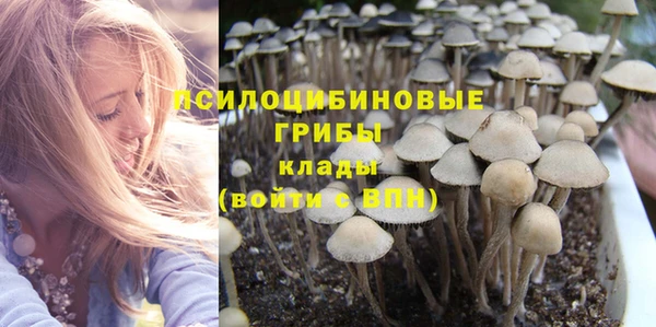 хмурый Волосово