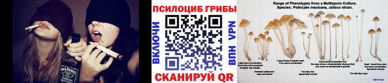 Галлюциногенные грибы прущие грибы  Можайск 