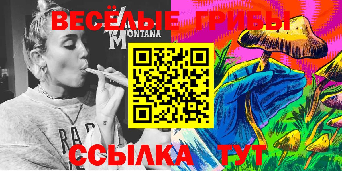 Галлюциногенные грибы прущие грибы  Вход с VPN  Можайск 
