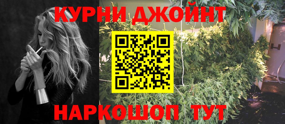 Конопля гибрид Можайск